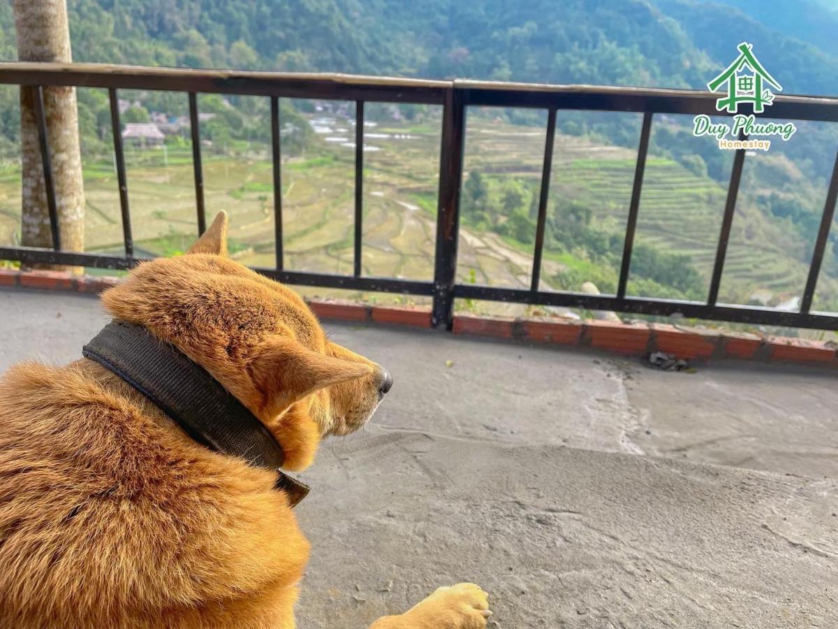 Pu Luong - Duy Phuong Homestay Thanh Hóa Exteriör bild