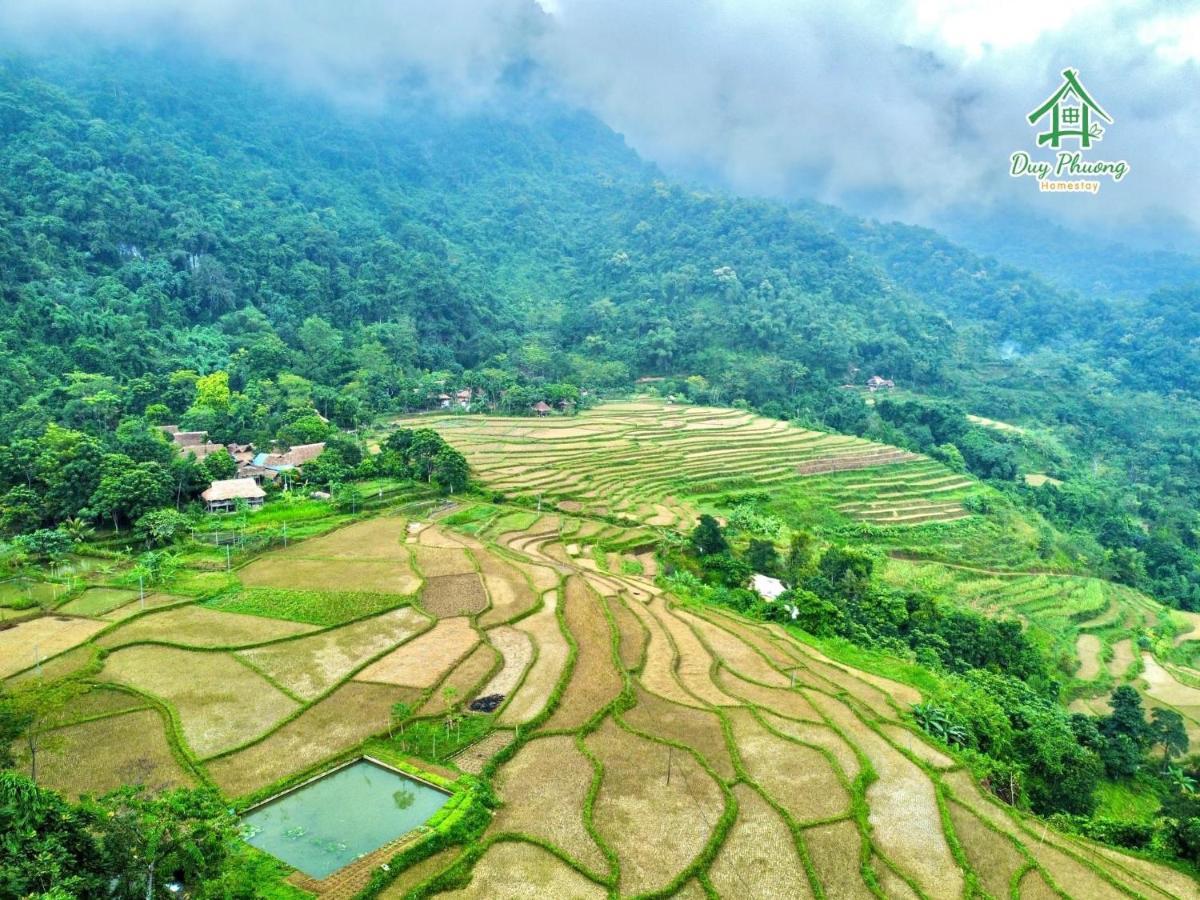 Pu Luong - Duy Phuong Homestay Thanh Hóa Exteriör bild