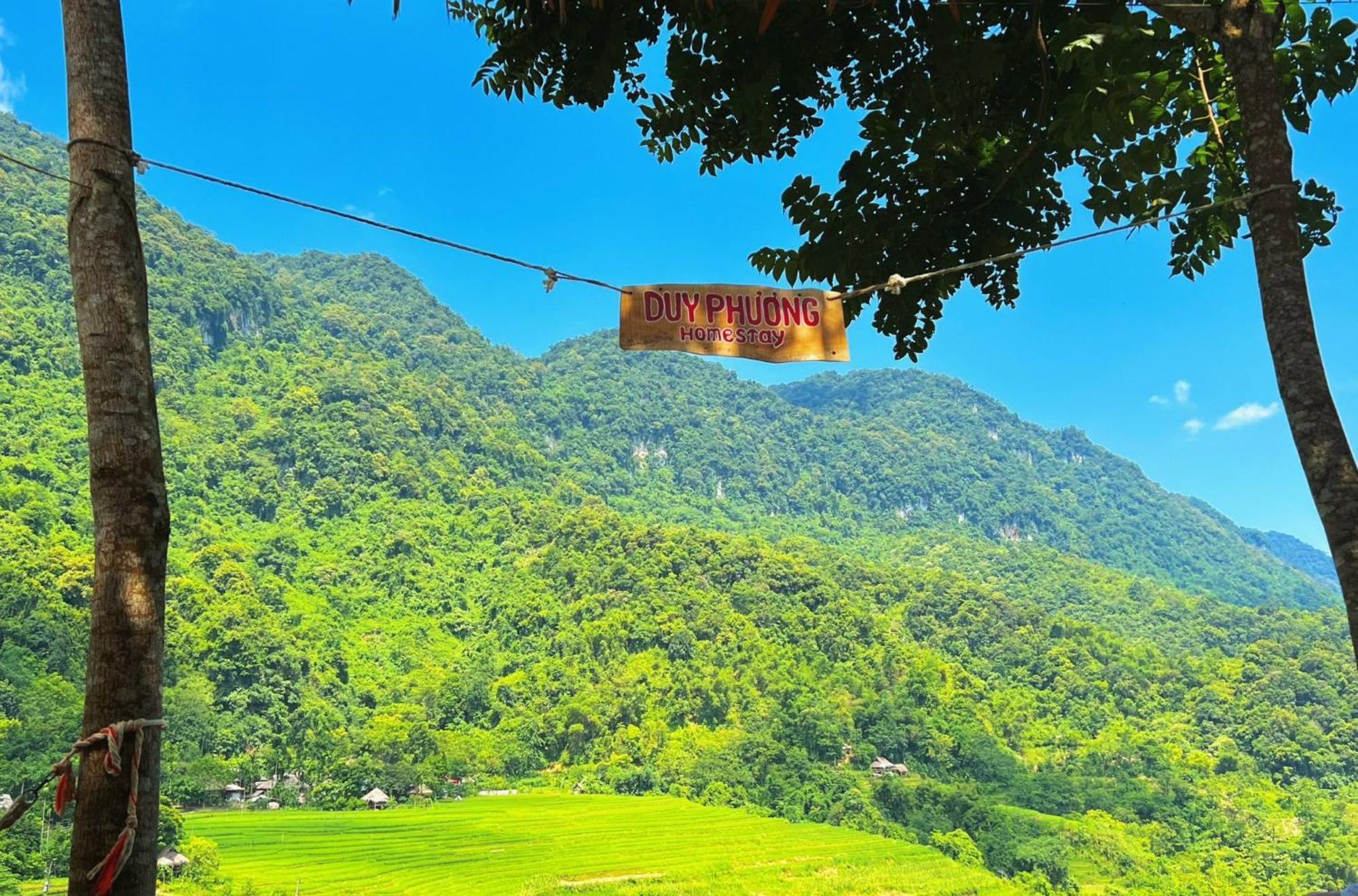 Pu Luong - Duy Phuong Homestay Thanh Hóa Exteriör bild